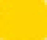 Crono Yellow